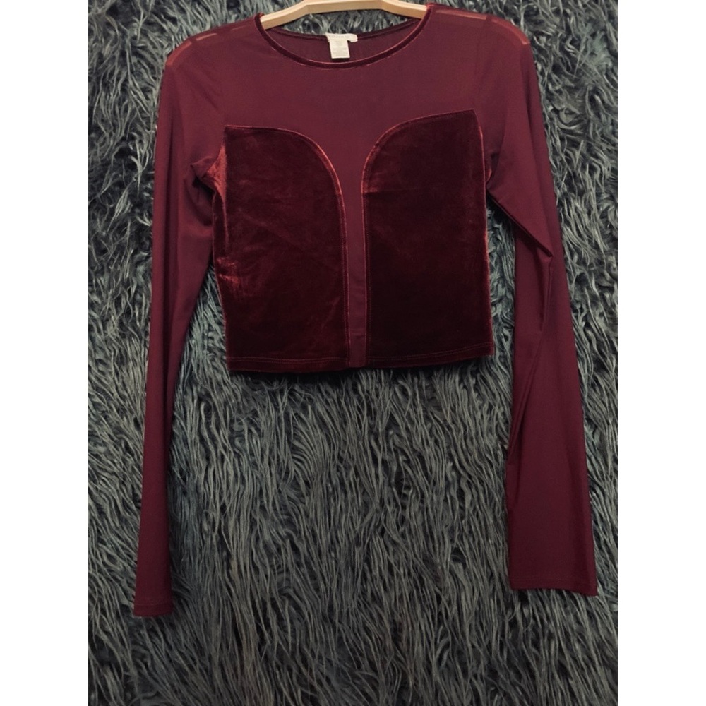 Cranberry mesh & velvet long sleeve top